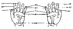 Drawing of Two Hands